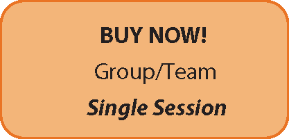 Group/Team ´Spot Session’ (One 2-hour session)
